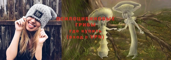 дурь Арсеньев