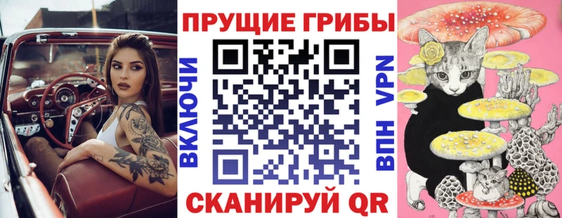 kraken сайт Бавлы Галлюциногенные грибы мицелий